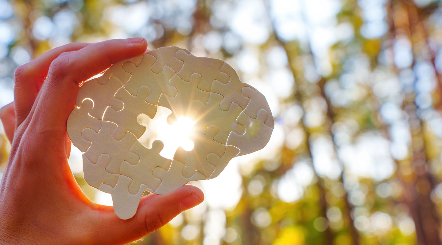 a hand holding up a puzzle of the brain against the sunlight with a missing piece