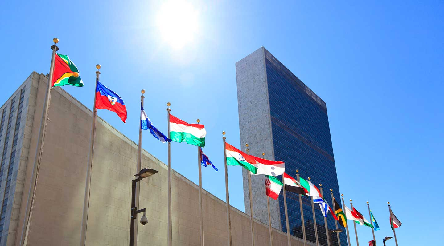 Building with a row of international flags