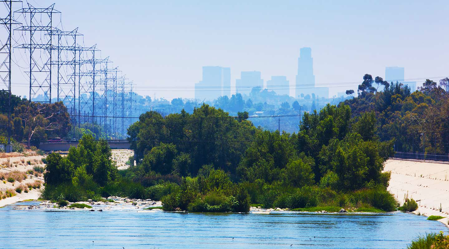 a lush, green section of the Los Angeles River with the downtown Los Angeles skyline visible in the hazy background