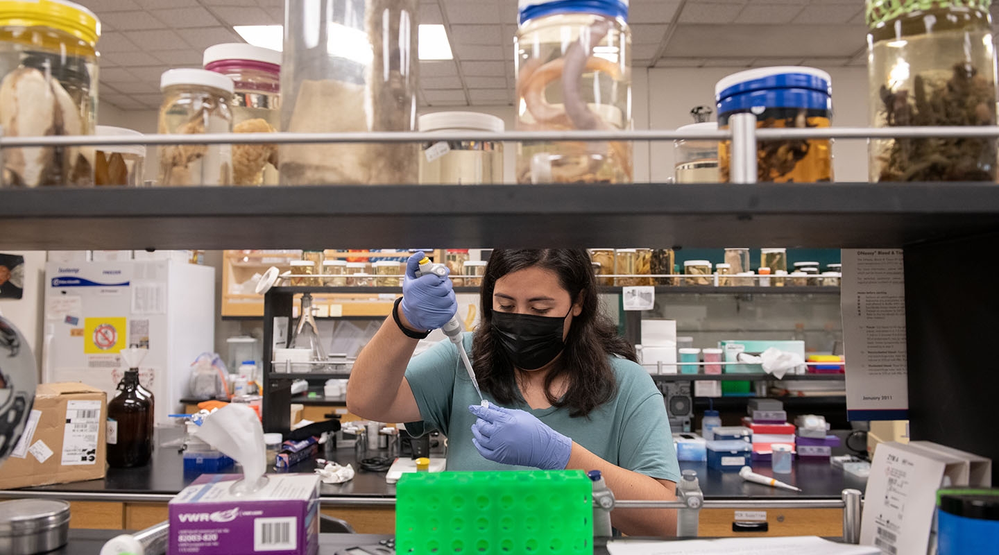 A student wearing a mask and gloves holds a dropper and beaker, surrounded by jars and other science equipment