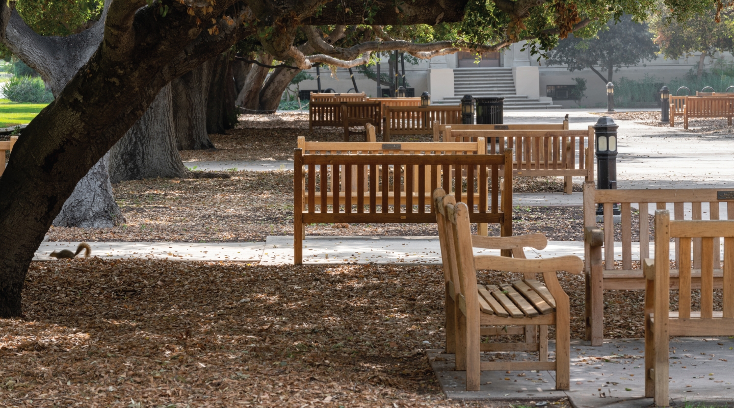 Academic Quad, Fall 2020