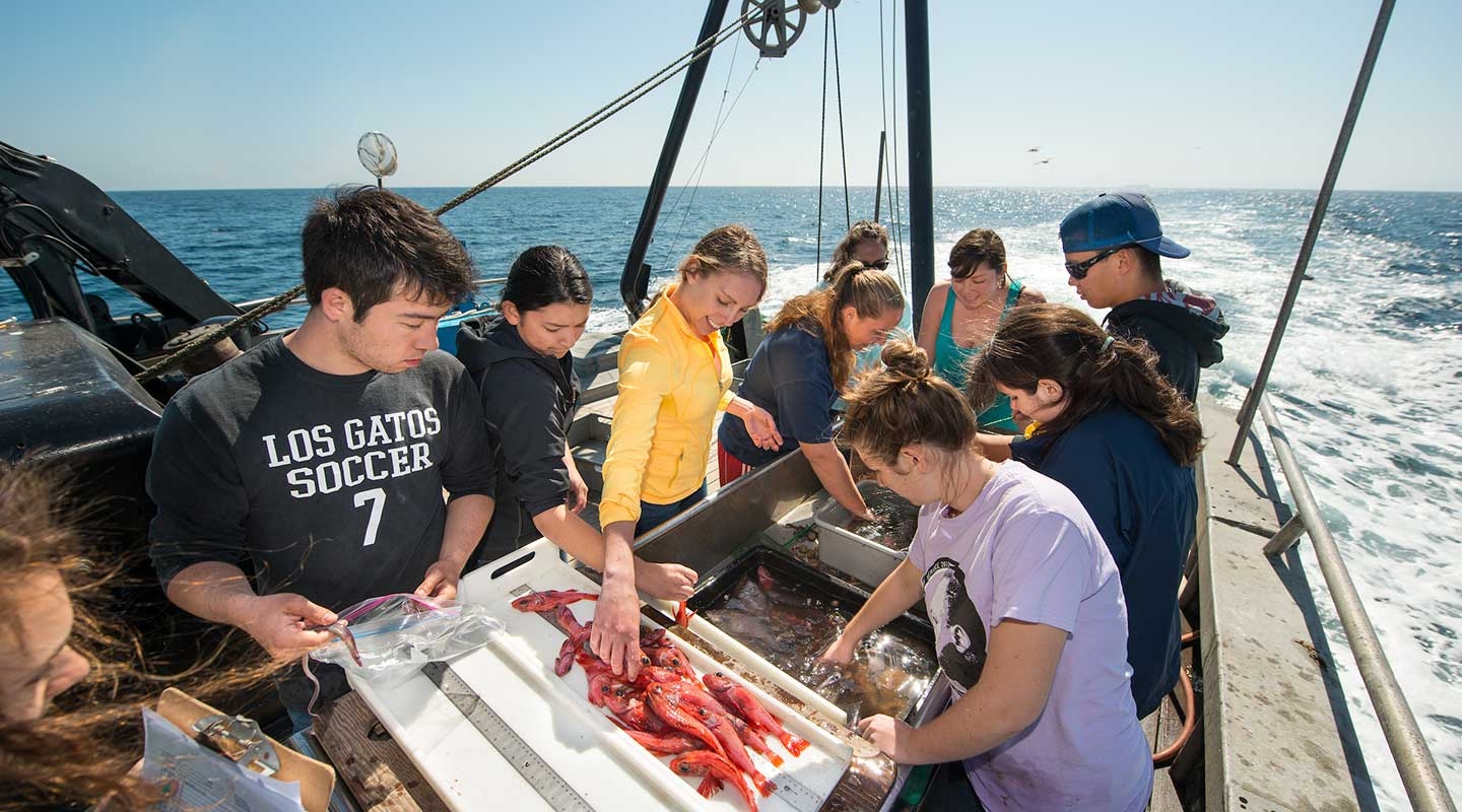 Students analyzing samples on a fishing boat on the ocean