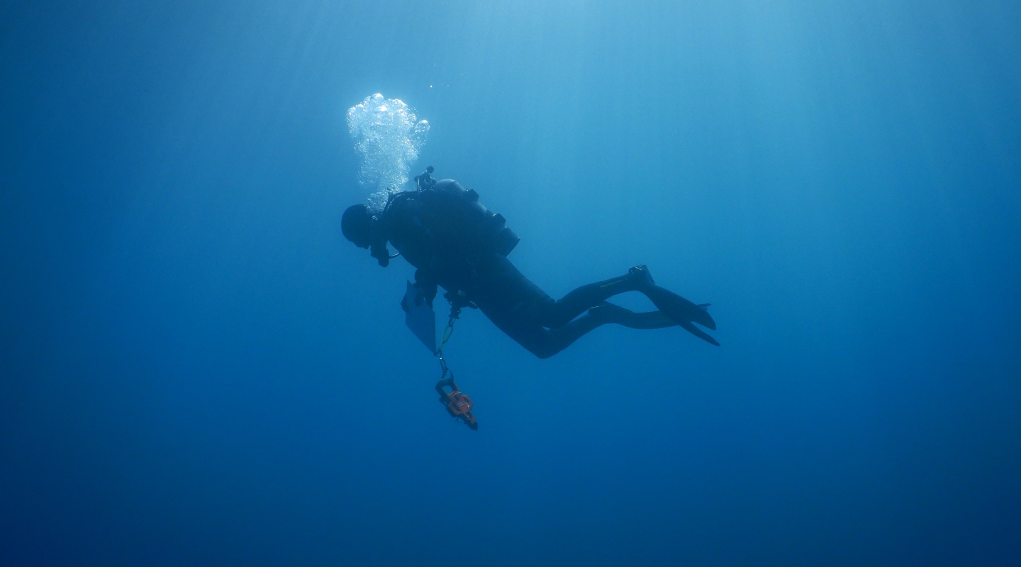 Dan Pondella diving at Palos Verdes