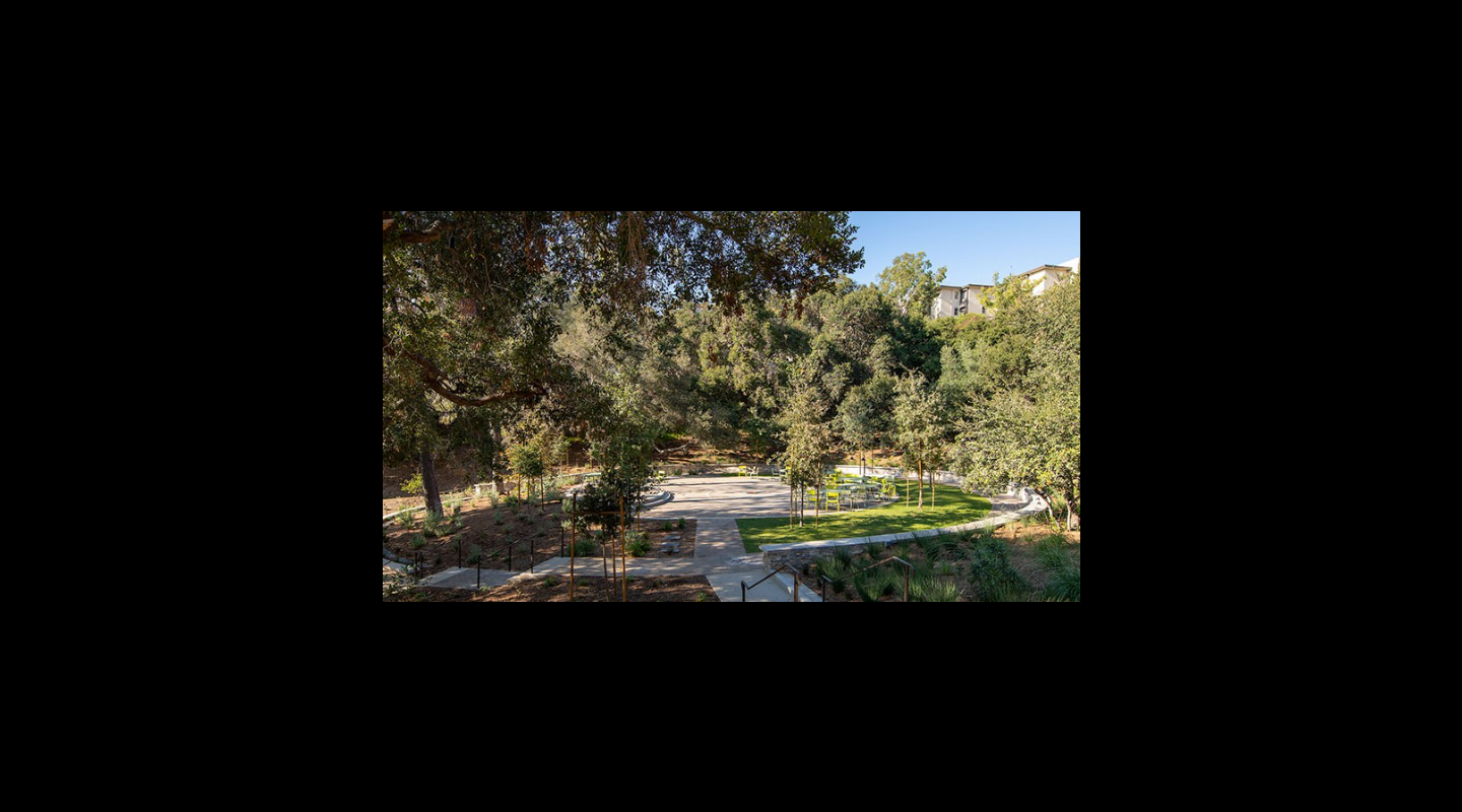 Sycamore Glen