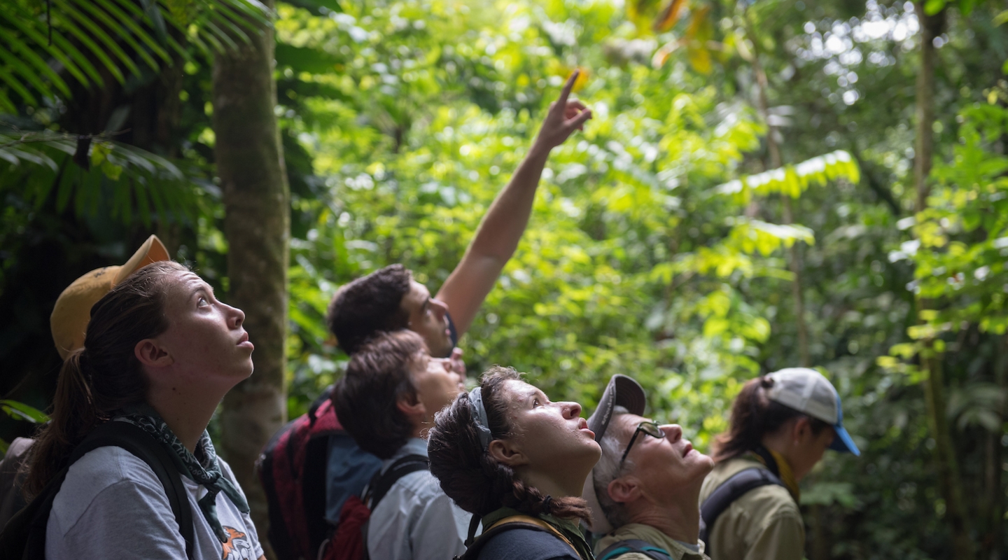 Occidental student researchers in Costa Rica.