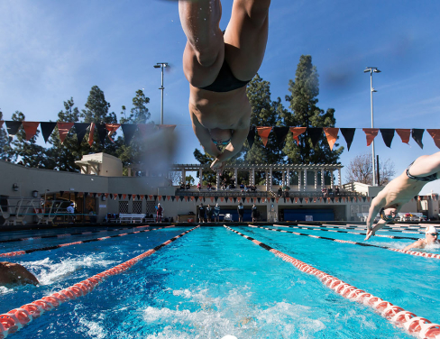 a student dives into DeMandel Aquatic Center pool