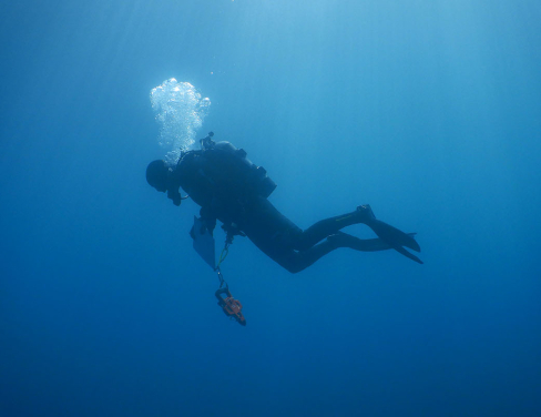 An Occidental College diver looking for marine specimens deep in the ocean