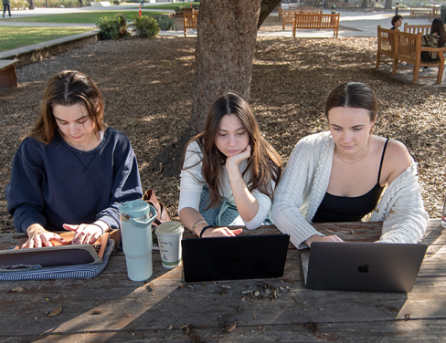 Occidental students study on a picnic table in the quad