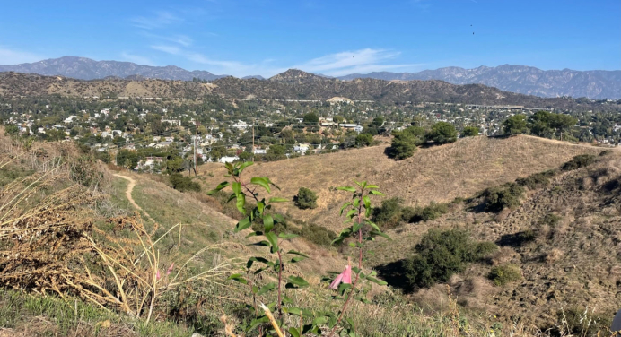 a view of the hills from the top of Fiji Hill near the Occidental College campus