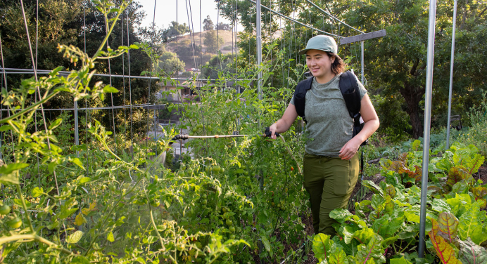 a young woman standing in a lush outdoor garden, watering the plants