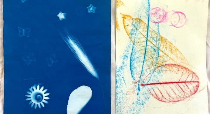 cyanotype and drawing