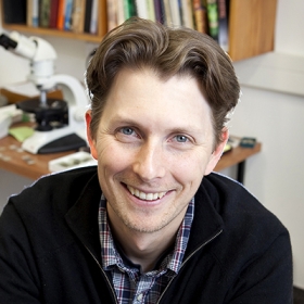 Professor Chris Oze