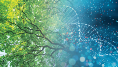 the underside of a large tree merging into an image of a DNA double helix