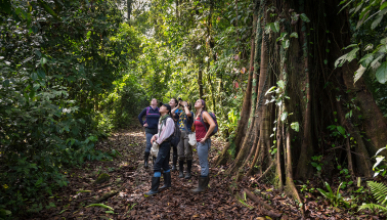 Occidental College students standing together in the jungle of Costa Rica, surveying the lush environment