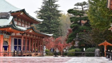 A view of the red Hiroshima temple with pine trees in the background