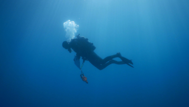 An Occidental College diver looking for marine specimens deep in the ocean