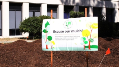 a microforest identification sign in front of a big field of brown mulch