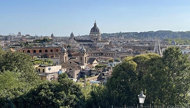 A view of the city of Rome and all its buildings