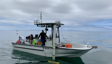 Boston whaler guardian collecting sonar data
