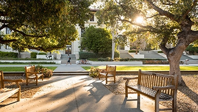 The Oxy quad at sunset