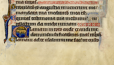 Illuminated manuscript