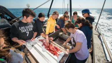 Students doing marine research on a ship