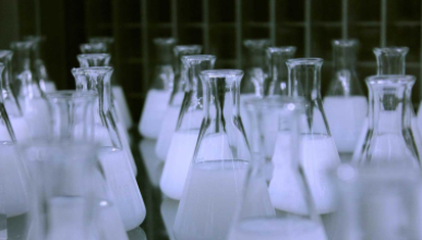 numerous Erlenmeyer flasks containing a white, opaque liquid, likely in a laboratory setting