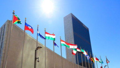 Building with a row of international flags