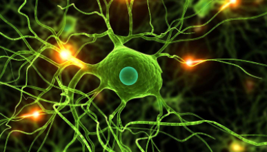 visualization of a biological neuron, a fundamental nerve cell in the brain