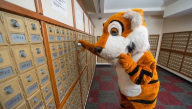 Oswald the Tiger checks his mail in Oxy's mailroom