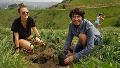 Students planting in the earth