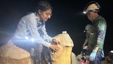 Assistant Professor Natasha Sekhon studies broken stalagmites to decide whether they should be brought back to the U.S. for further research. 
