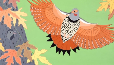 Bird Show, Susan Stockdale