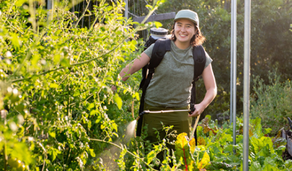 Ellie Chang '26 tends to the plants on Avenue 33 Farm, an urban farm on 1.2 acres in Lincoln Heights.