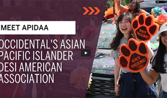 a thumbnail for a video about the APIDAA club at Oxy