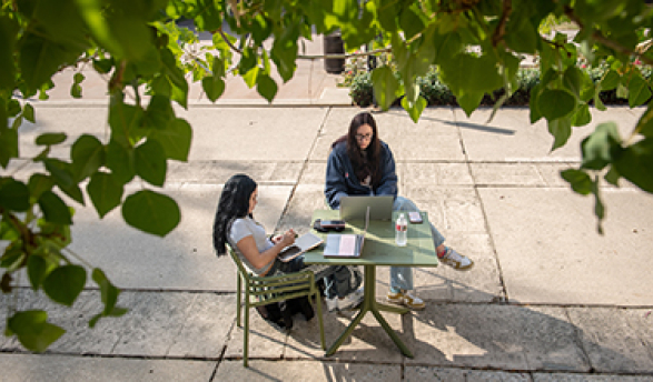 Students studying on the Occidental campus 