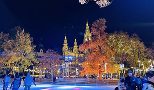 a view of Vienna at Christmastime