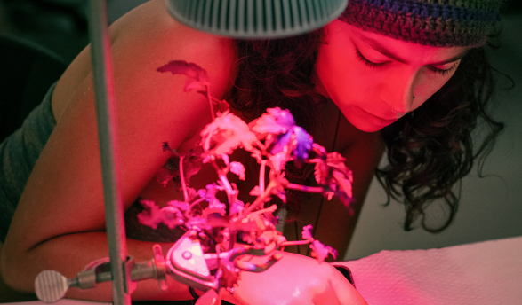 Occidental biology major Hannah Tawadrous '26