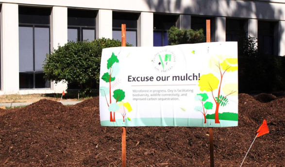 a microforest identification sign in front of a big field of brown mulch