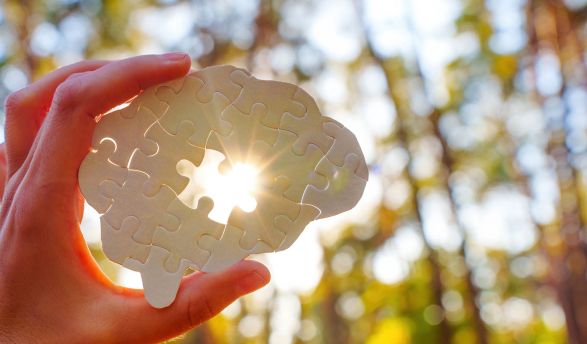 a hand holding up a puzzle of the brain against the sunlight with a missing piece