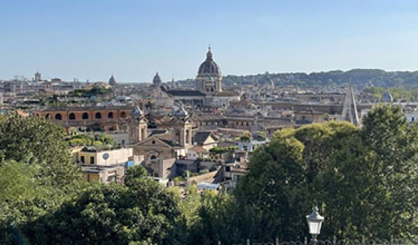 A view of the city of Rome and all its buildings