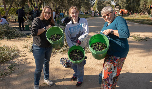 Occidental College staff members holding buckets of olives that they picked from campus trees