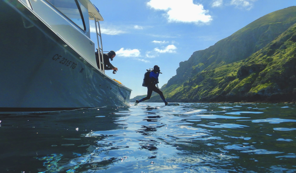 A Vantuna Research Group diver jumps off the research ship into the ocean