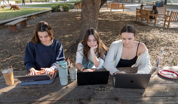 Occidental students study on a picnic table in the quad