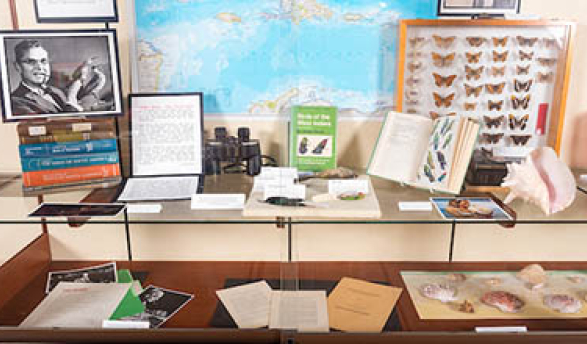 Image: ac_387x220.jpg