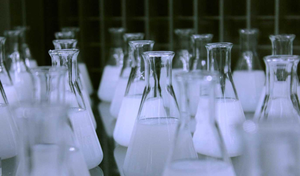 numerous Erlenmeyer flasks containing a white, opaque liquid, likely in a laboratory setting