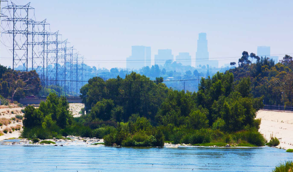 a lush, green section of the Los Angeles River with the downtown Los Angeles skyline visible in the hazy background