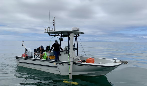 Boston whaler guardian collecting sonar data