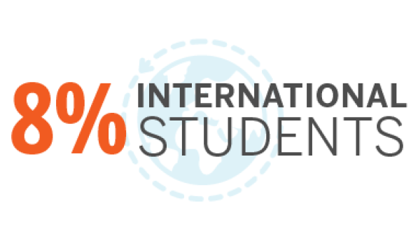 8% international students