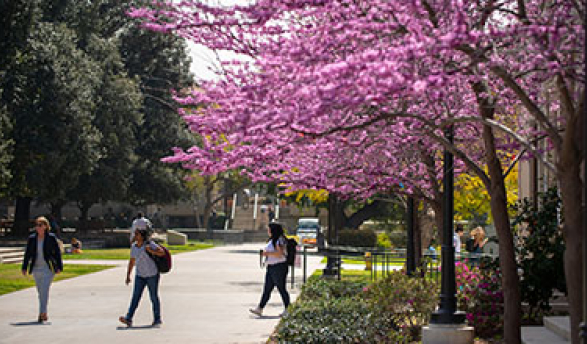 Image: forms_387x220.jpg